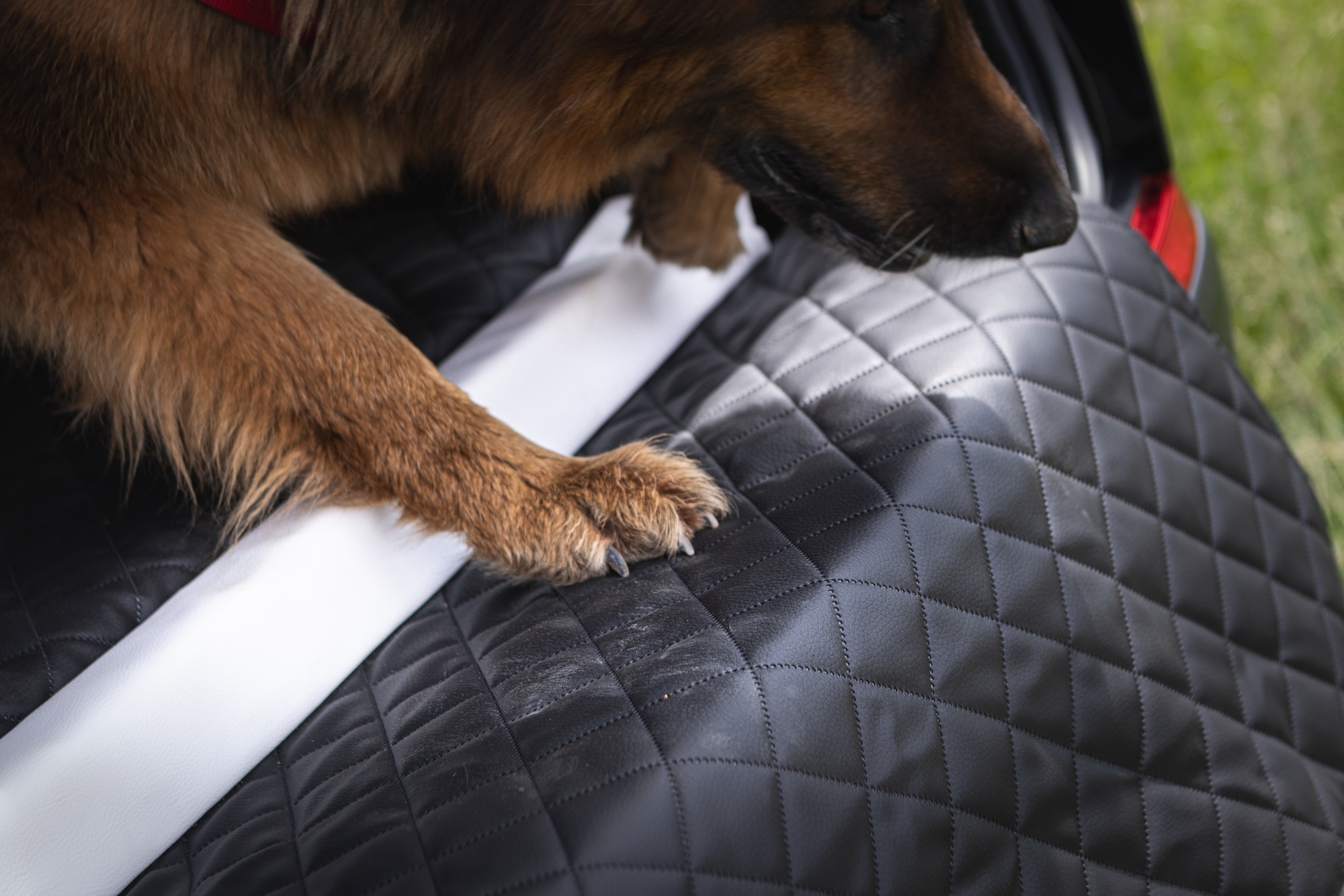 Dog car boot transporter 90x55cm - Image 6