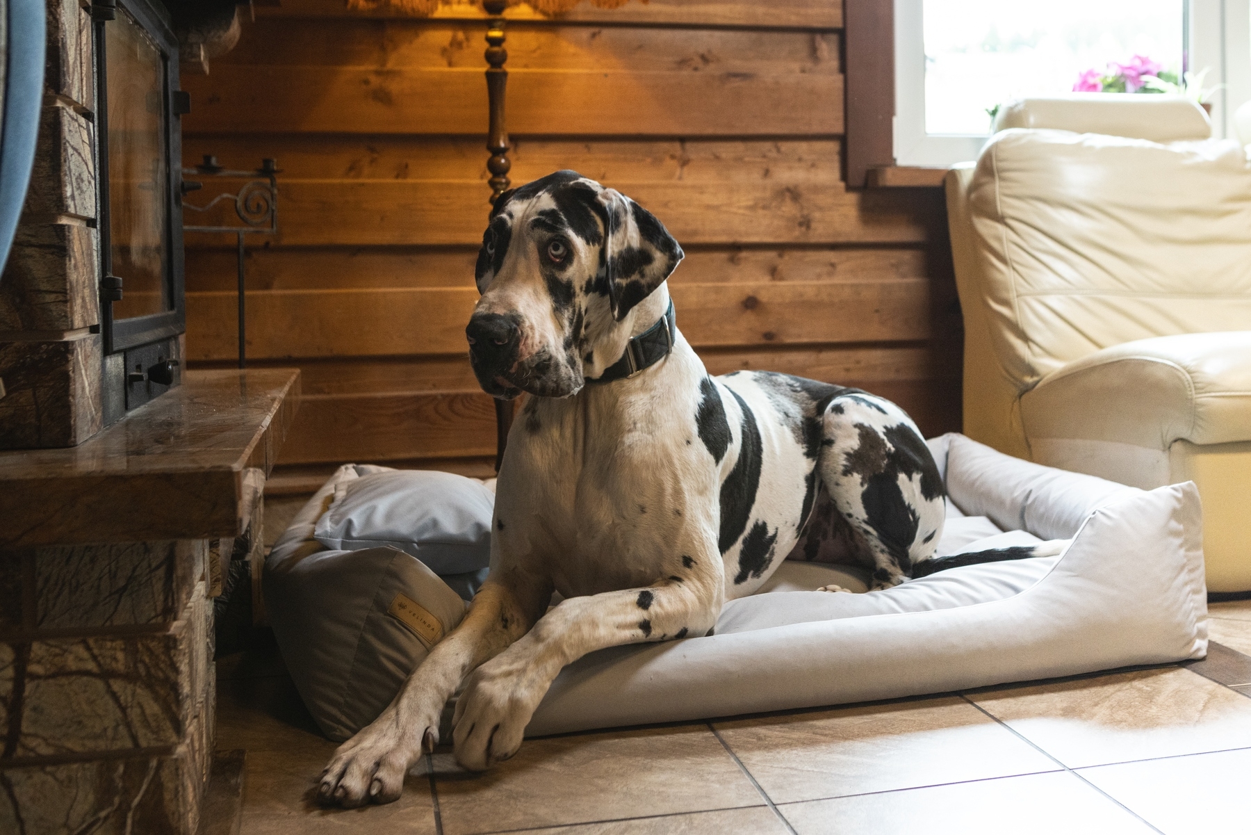 Dog cat bed with pillow 120x90 - Image 5