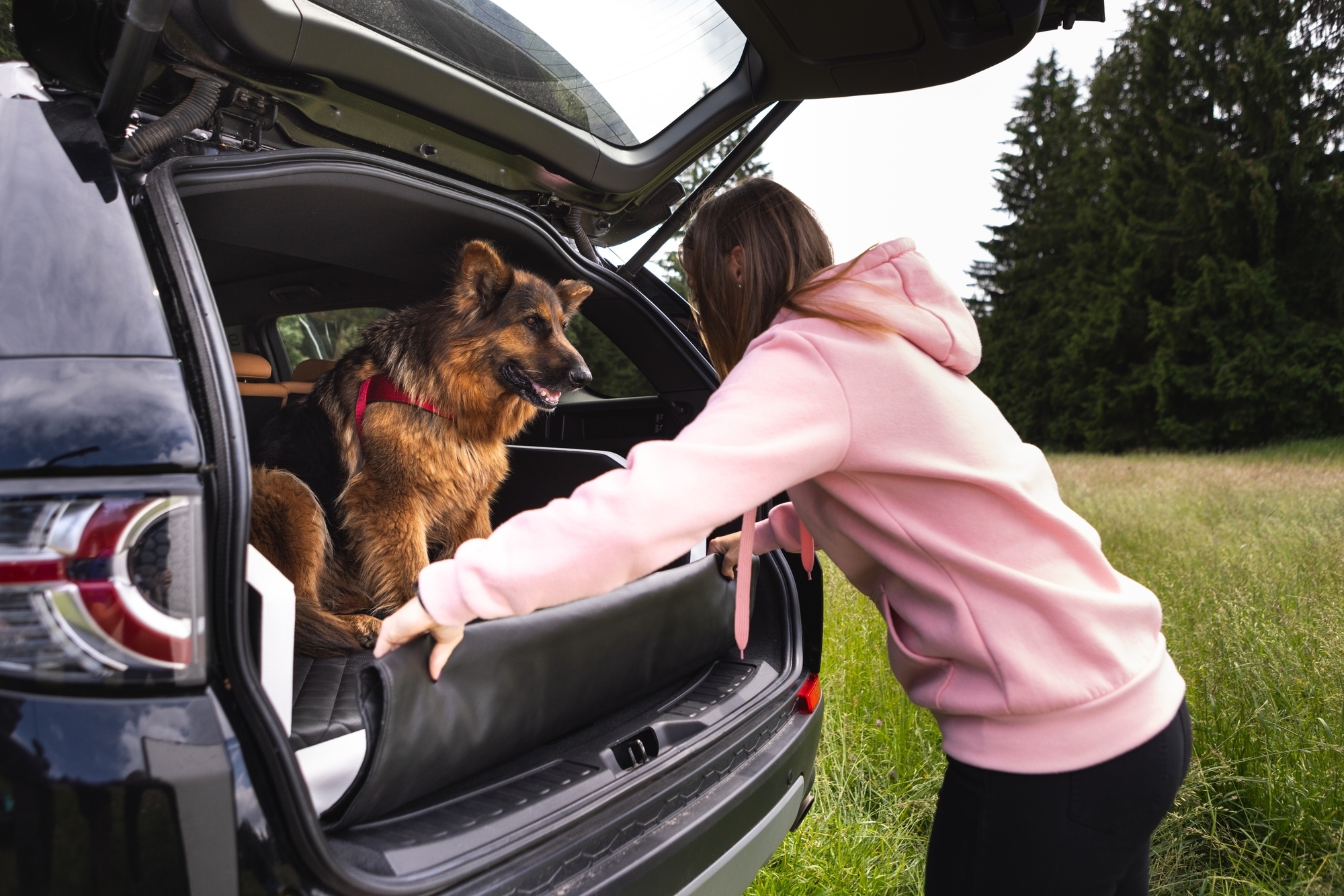 Dog car boot transporter 90x55cm - Image 5