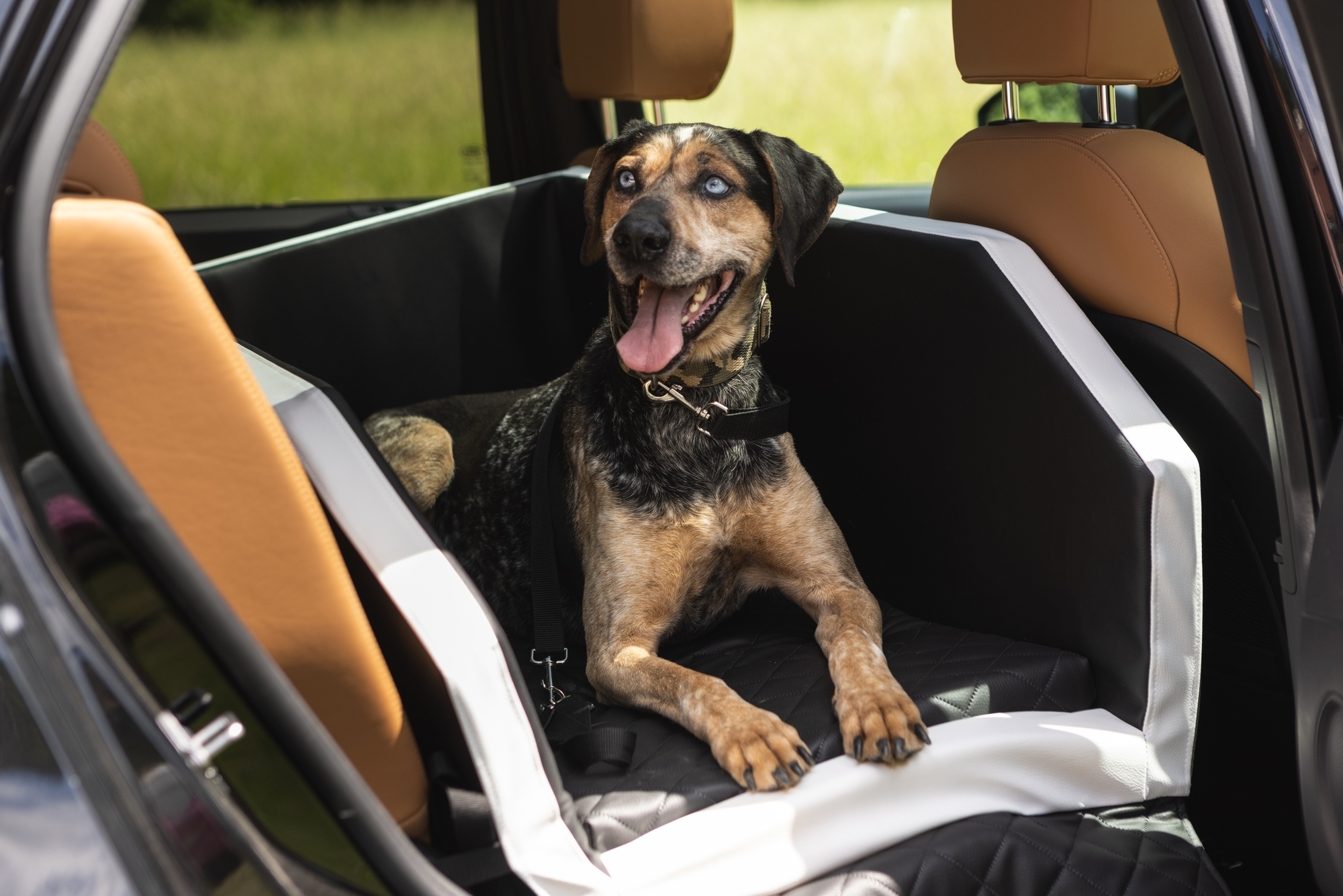 Dog seat transporter, 55x100cm - Image 4