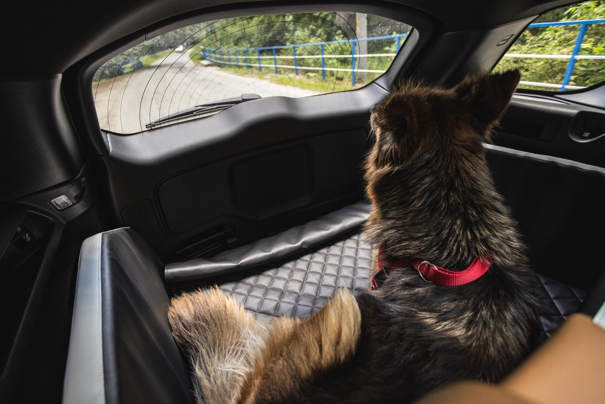 Dog car boot transporter 90x55cm - Image 9
