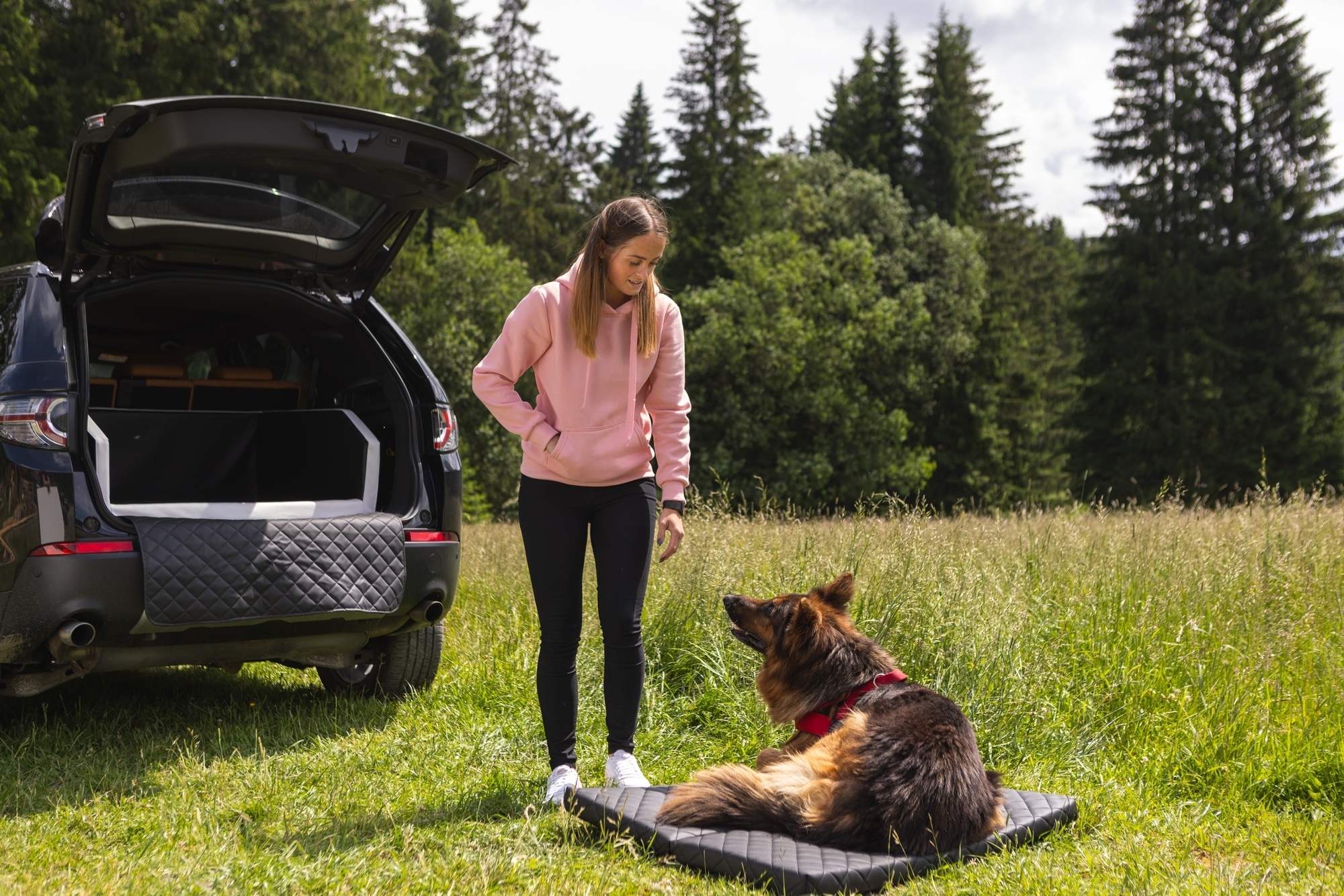 Dog car boot transporter 90x55cm - Image 8