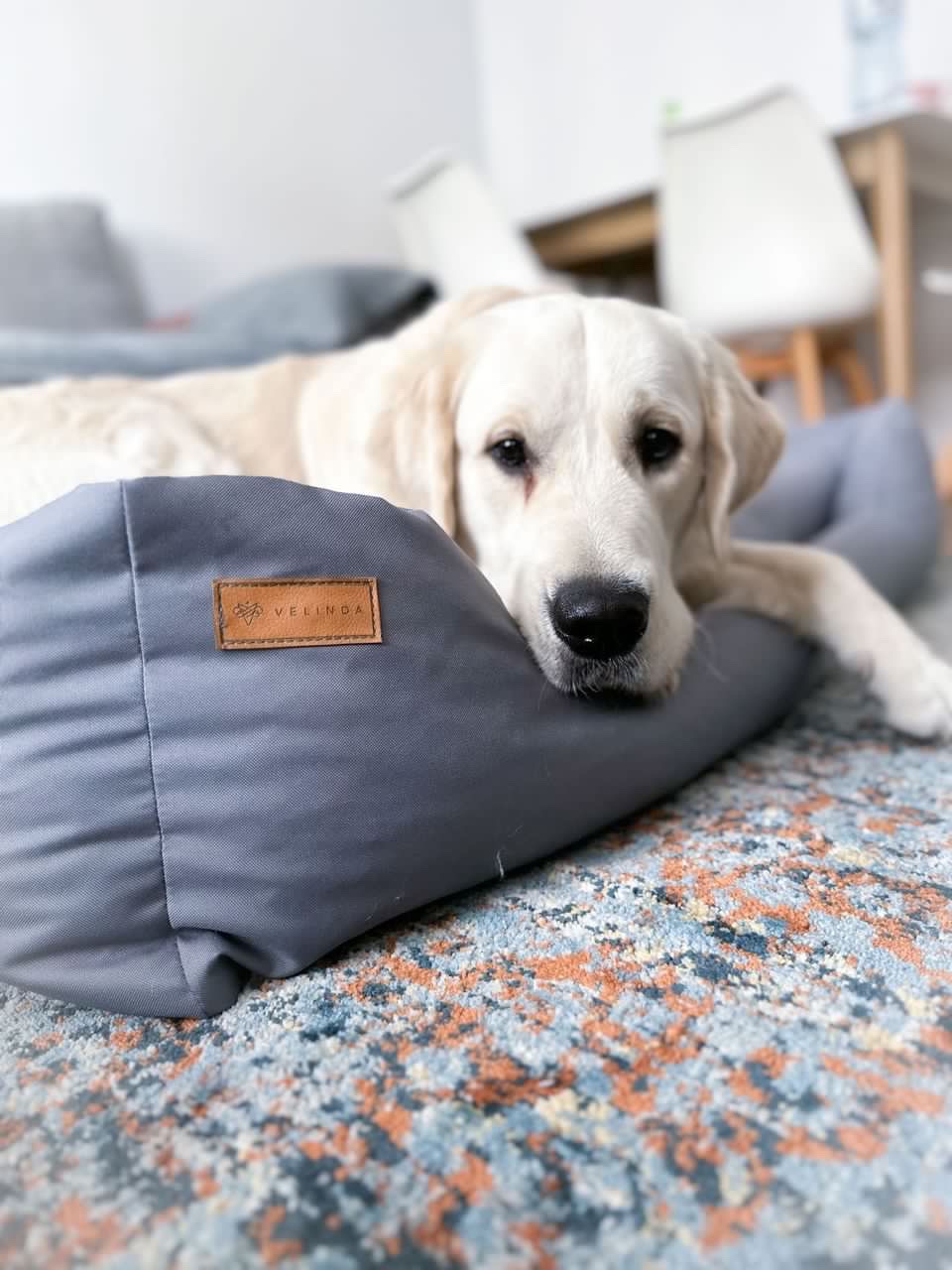 Dog cat bed with pillow 120x90 - Image 8